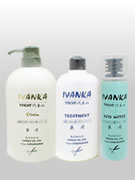 item-IV-002.jpg