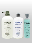item-IV-004.jpg
