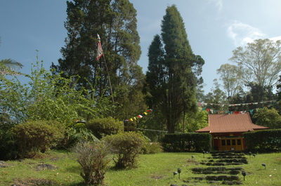 jiinn4