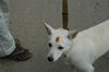 DSC_0195.JPG