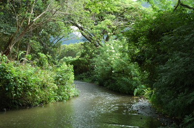 小川