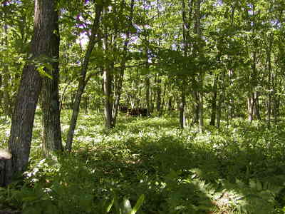 P1010048.JPG