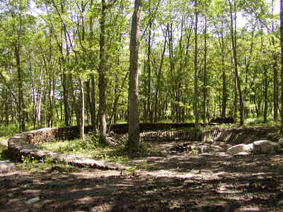 mori 5