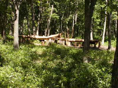 mori4
