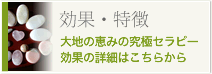 ボタン：ラストーンセラピーの効果・特徴